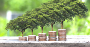 How Can I Grow My Money in Malaysia